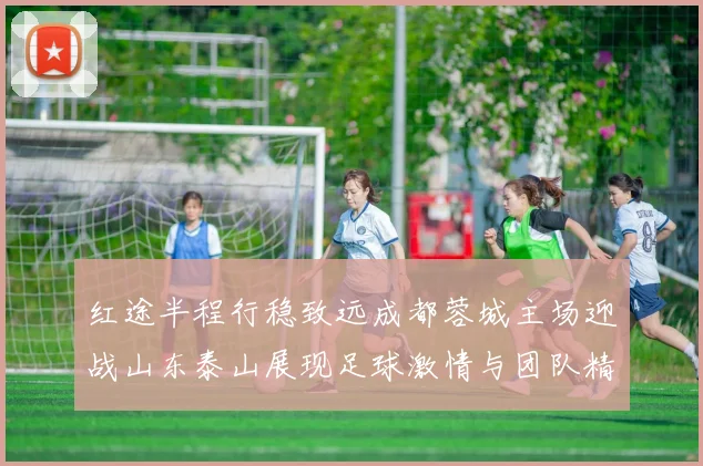 红途半程行稳致远成都蓉城主场迎战山东泰山展现足球激情与团队精神