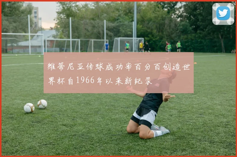 维蒂尼亚传球成功率百分百创造世界杯自1966年以来新纪录